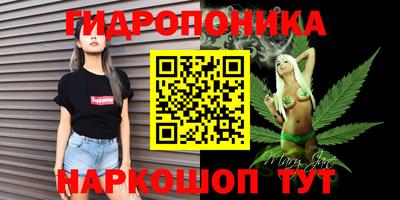 шишки Ирбит