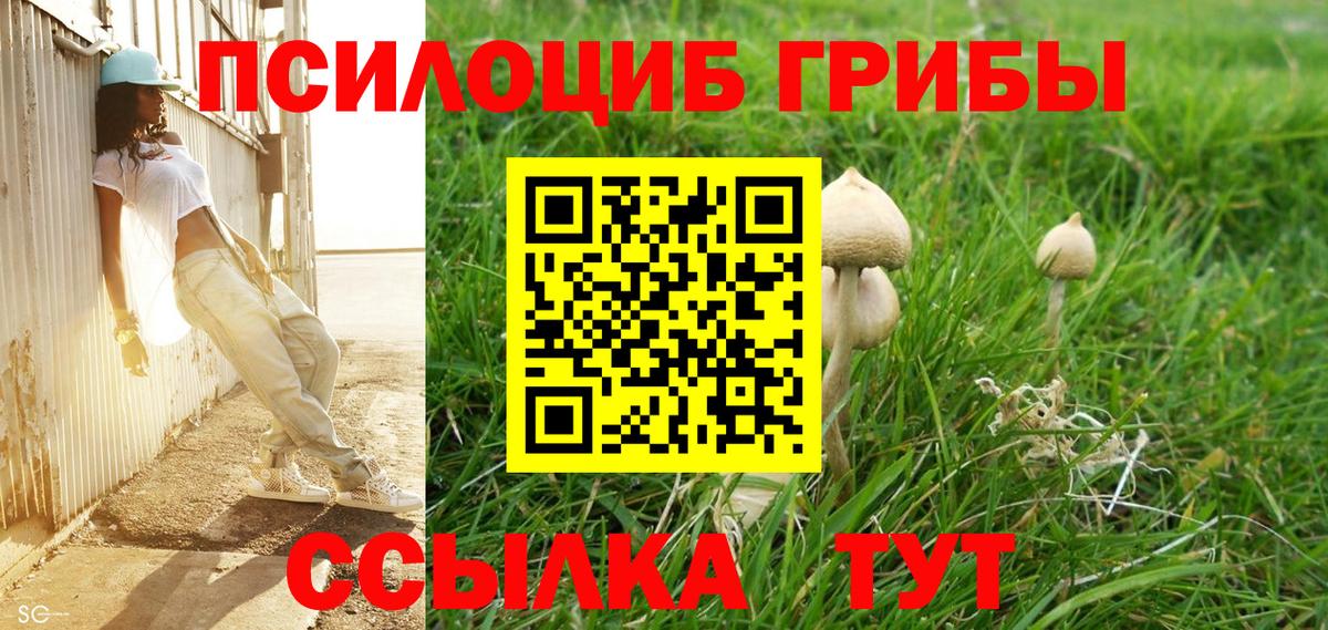 Псилоцибиновые грибы Cubensis Кубинка